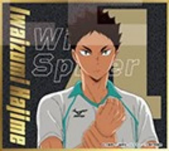 岩泉一】ハイキュー!! ビジュアル色紙コレクション8 - トレカ&ホビーの