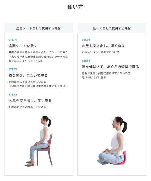 送料無料】アーユル・チェアー 座イス＆座面シートタイプ メディカル