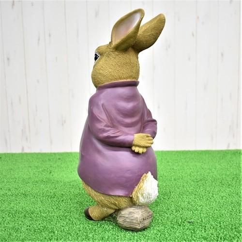 ピーターラビット ベンジャミンバニー氏