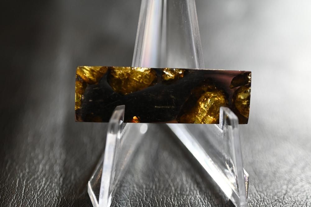 イミラック隕石 (Imilac meteorite)