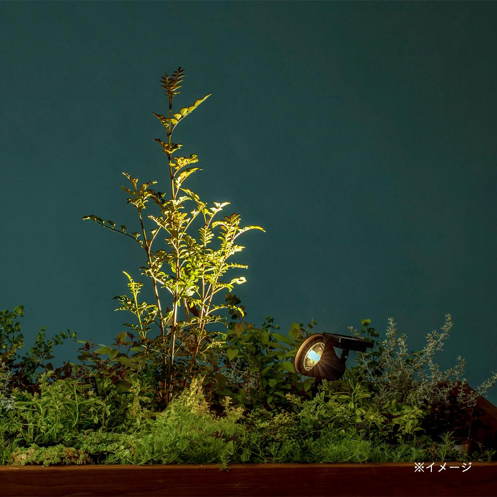 ハイパワーLEDソーラーアップライト 10 LGS-129 | ガーデンライト