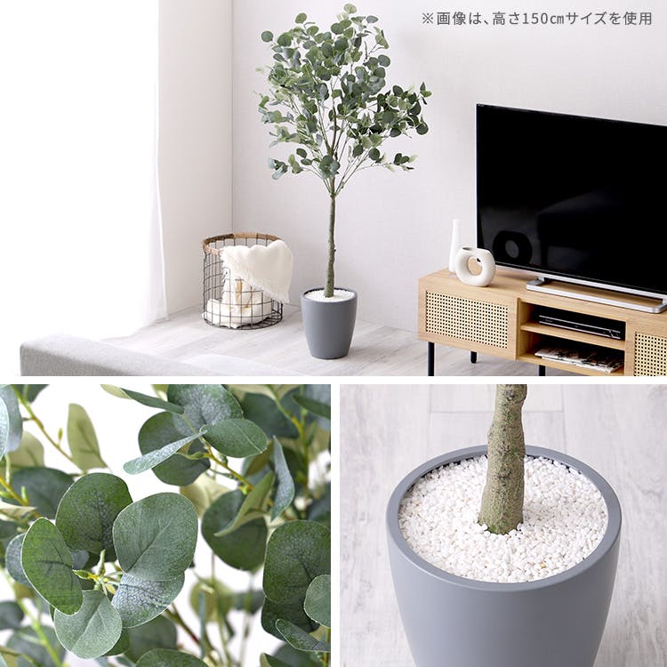 お手入れ簡単フェイクグリーン ユーカリ Lサイズ(180cm)／カラー
