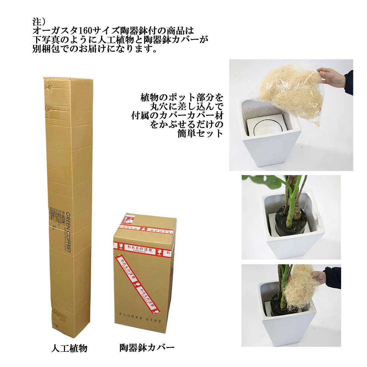 GREEN COFFRET オーガスタ160陶器鉢付・黒 人工観葉植物 フェイク