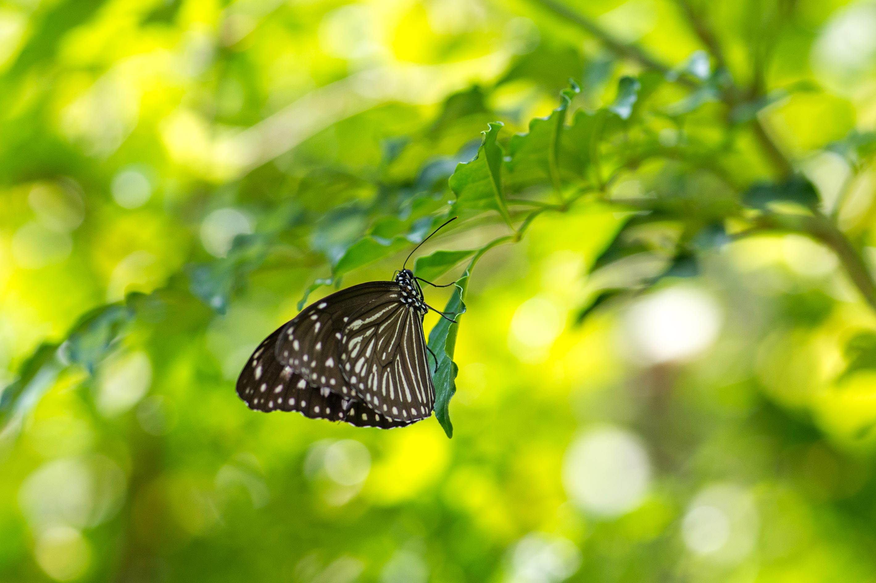 3cd9830b9938c571e49c8be1ee5ecd