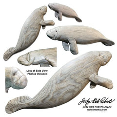 i-418-manatees-596112_medium.