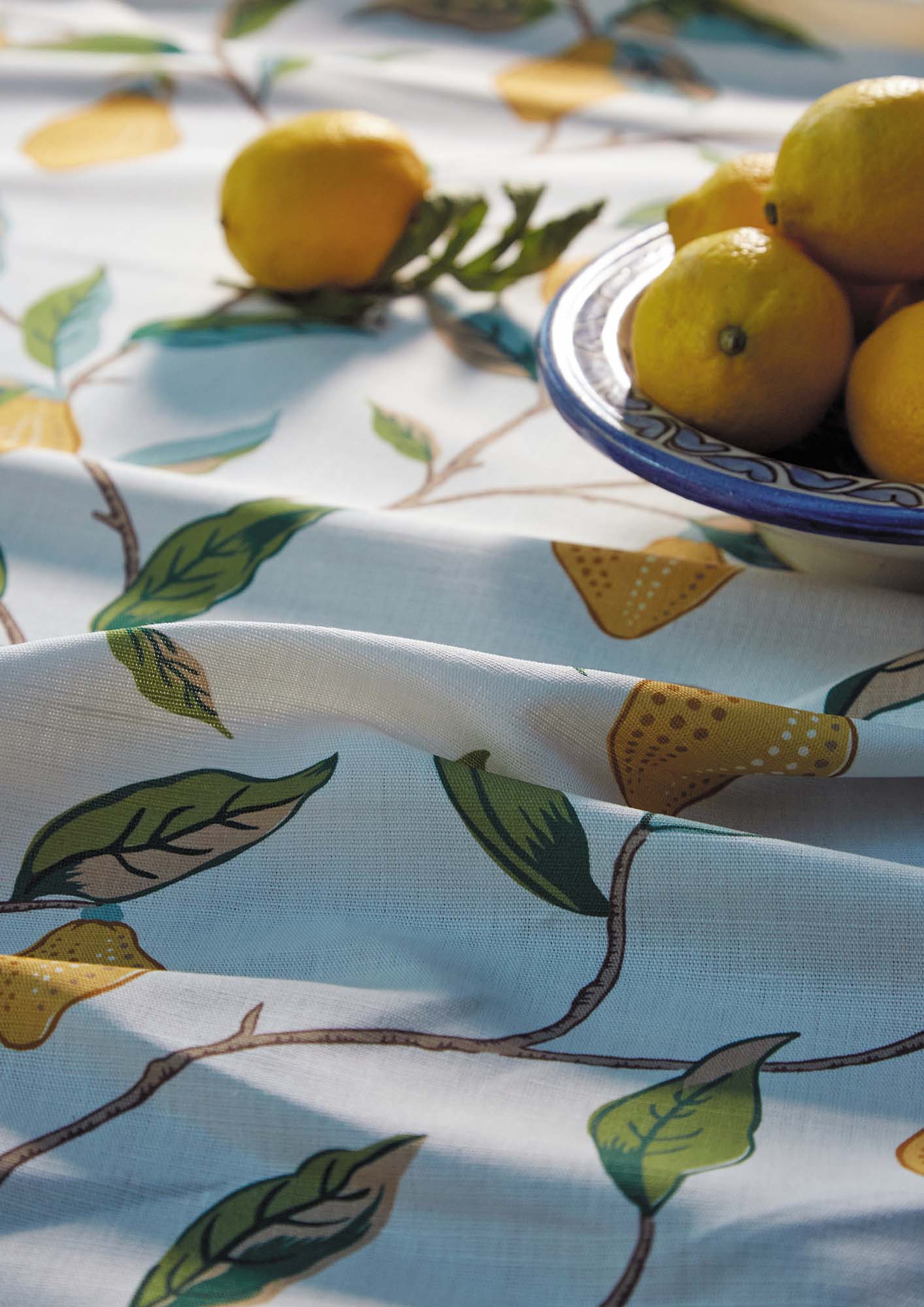 interior library - Lemon Tree 226909 MORRIS&Co.