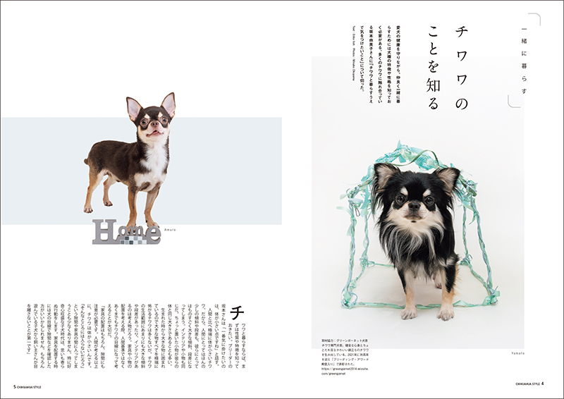 チワワにとっての快適な住まいについて考えるチワワ専門誌『チワワ