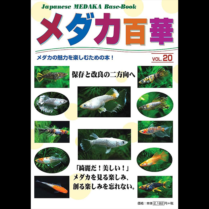 メダカ百華 VOL.20 | めだか湊養魚場