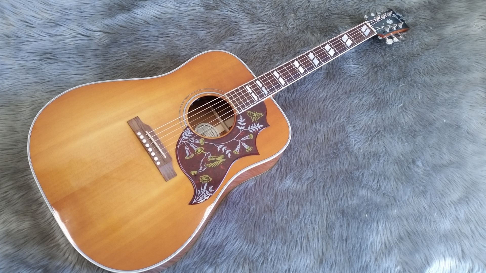 Gibson】定番HUMMINGBIRD（ハミングバード）が入荷！｜島村楽器