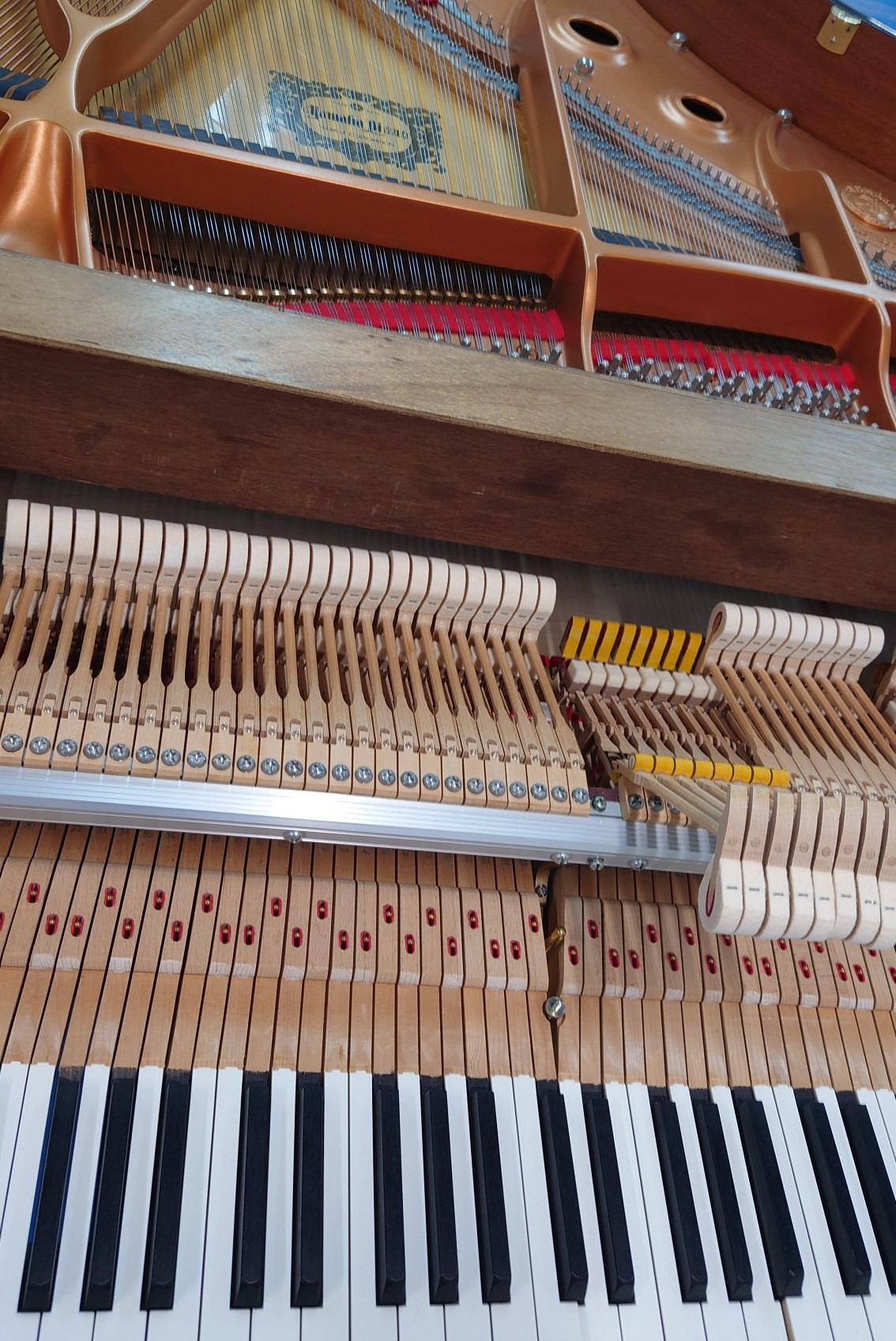 シャンクローラー交換 - ピアノ修理・調律ブログ｜島村楽器のリペア