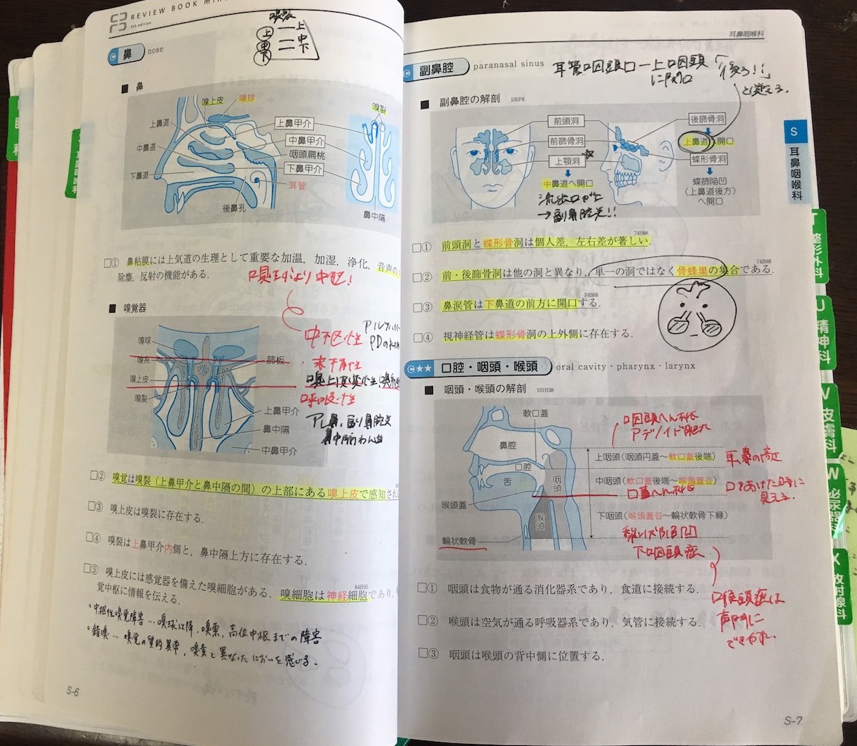 5，6年生向け］113回国試【体験記】マイナー対策は「QA」＋『レビュー