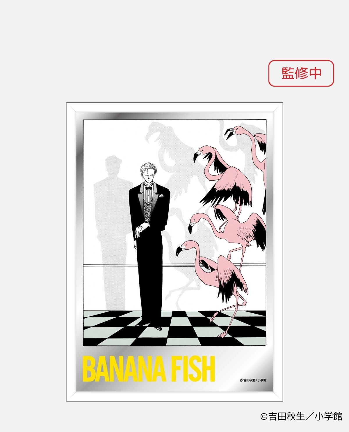 受注期間5／6～6／5】【7月上旬～7月下旬以降届け】バナナ