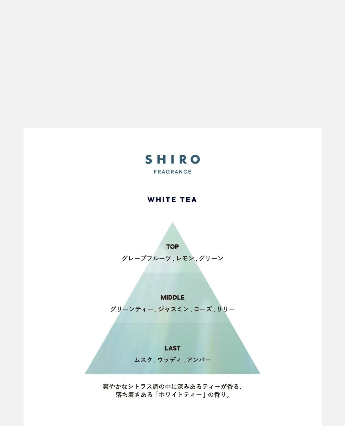 シロ フレグランス ハンド ケア キット 美容液 クレイ ハンドソープ