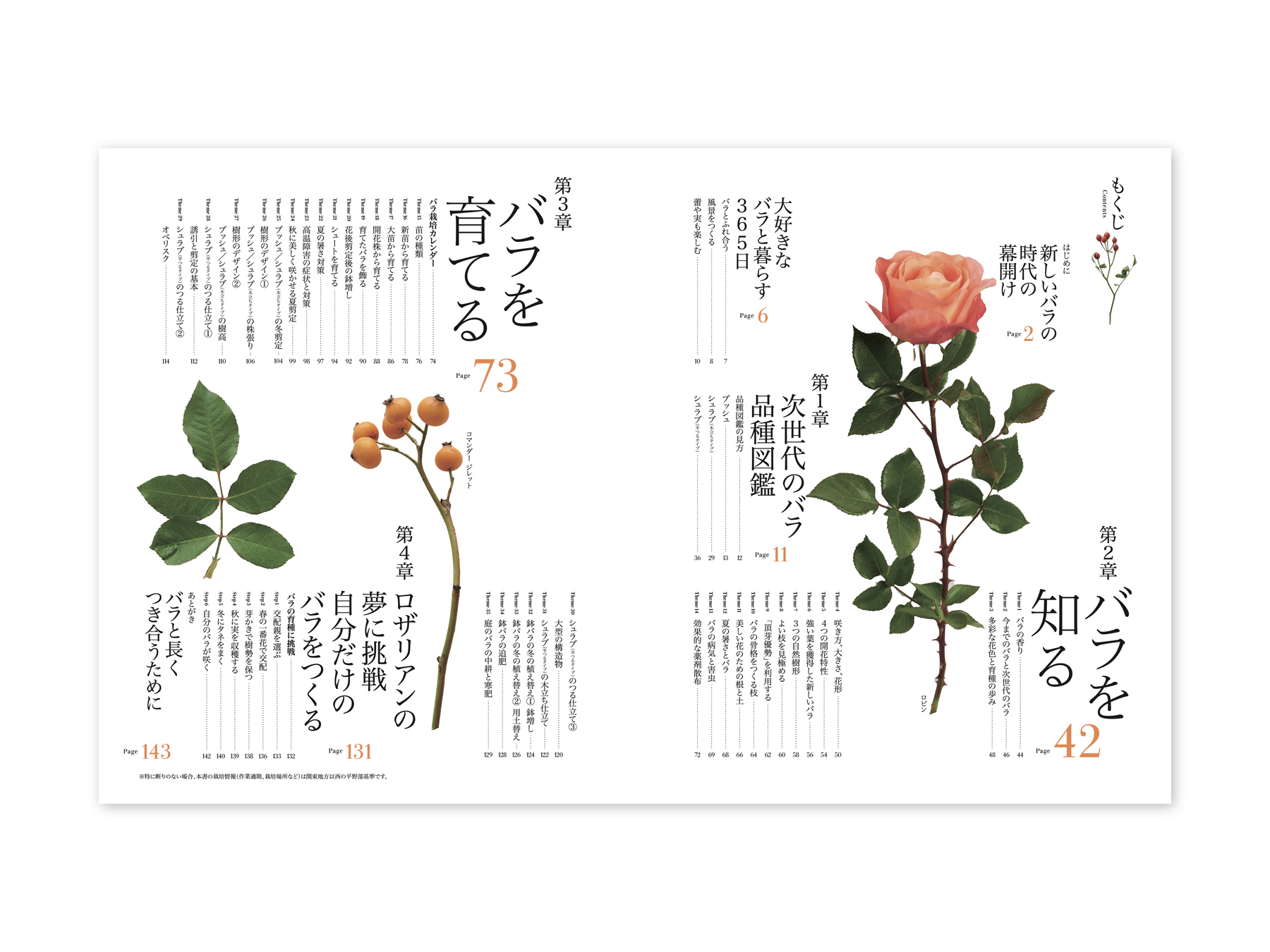 新しいバラ | Okamoto Issen Graphic Design Co.,Ltd.