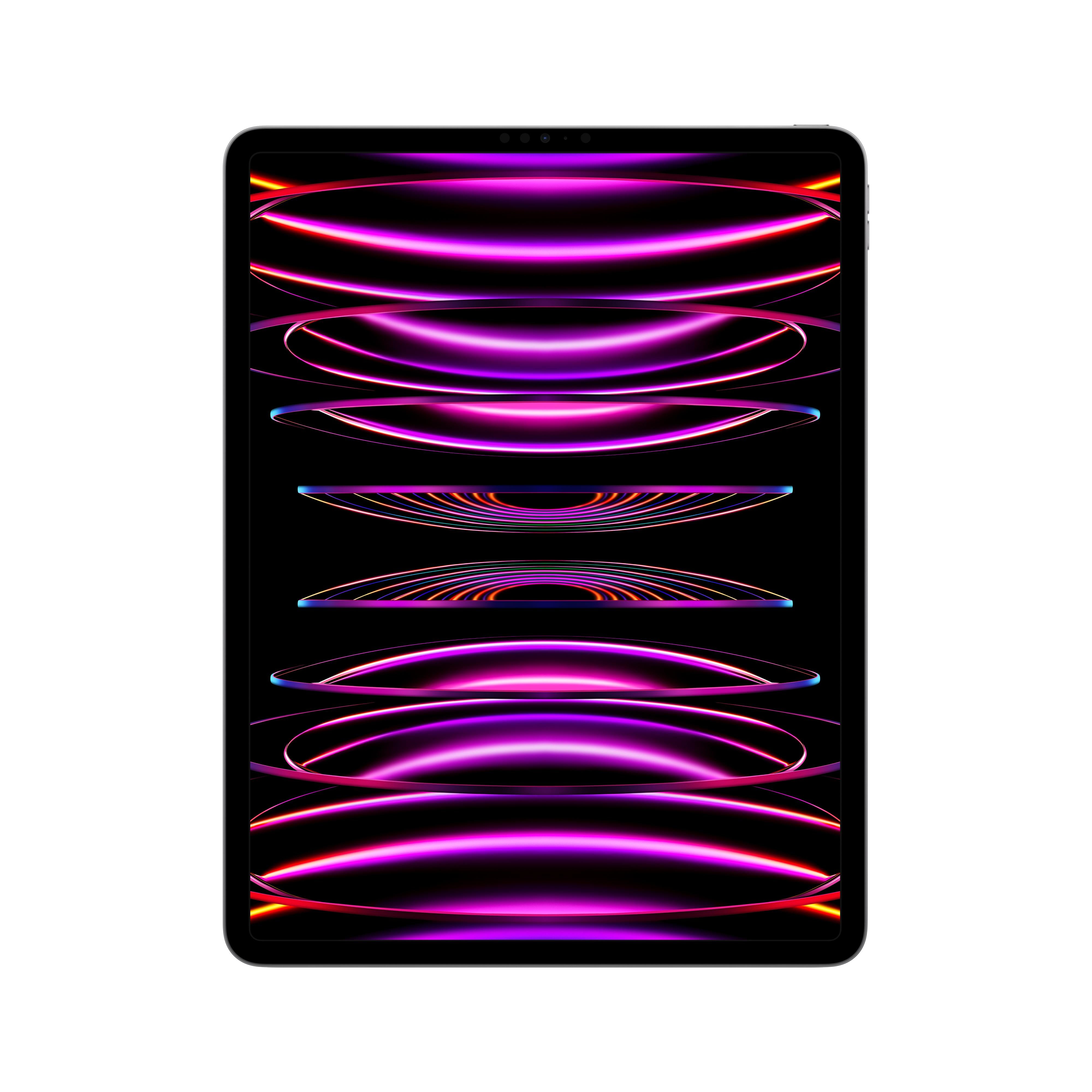 2022 12.9-inch iPad Pro Wi-Fi 256GB - Space Grey (6th generation)