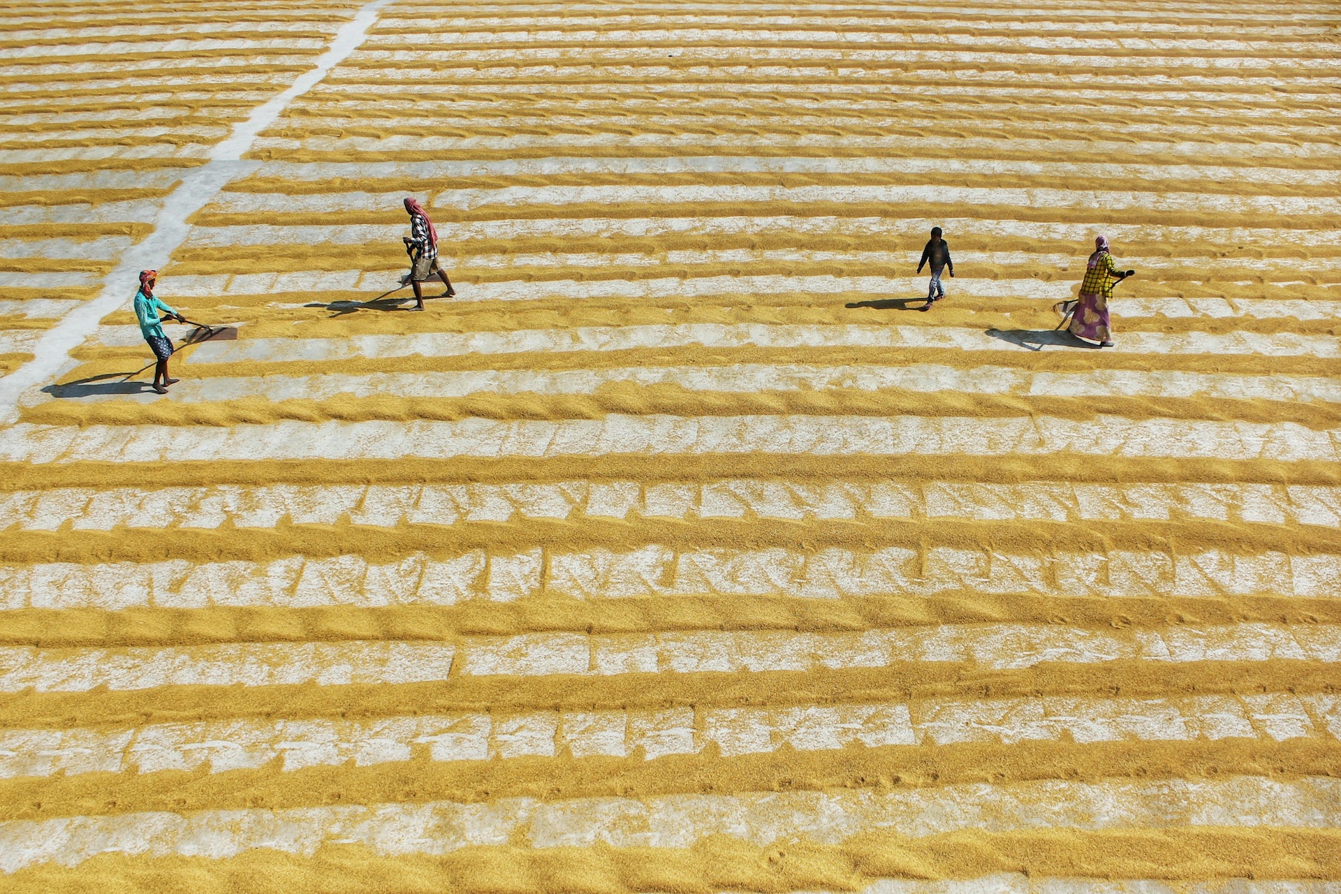 開発を学ぶ、伝える：日本型知的協力のあり方 | 一般社団法人平和政策