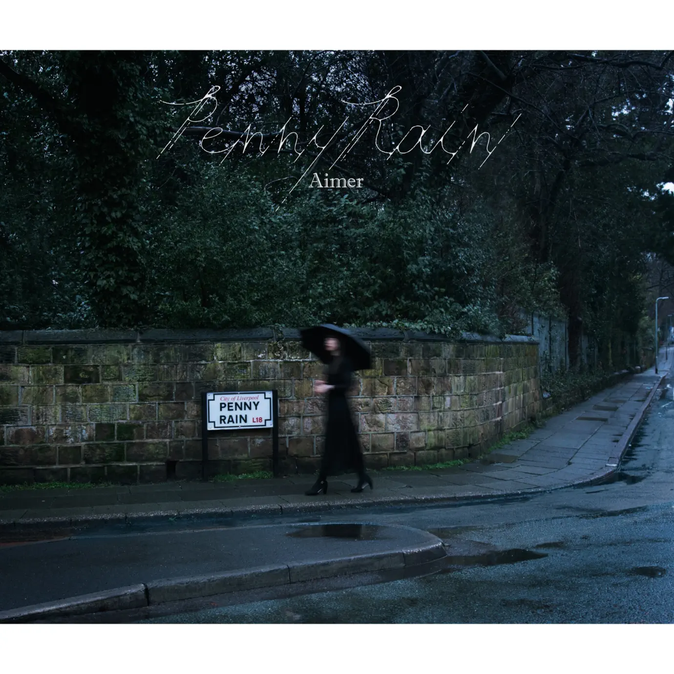 Aimer Hall Tour 2022 