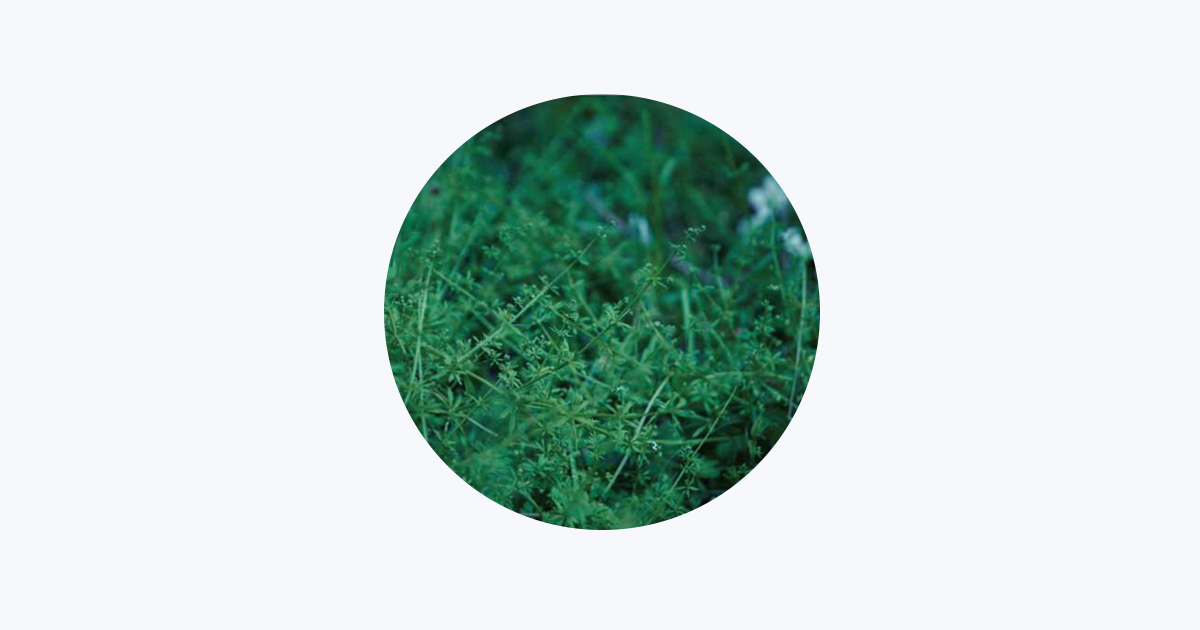 chouchou merged syrups. - Apple Music