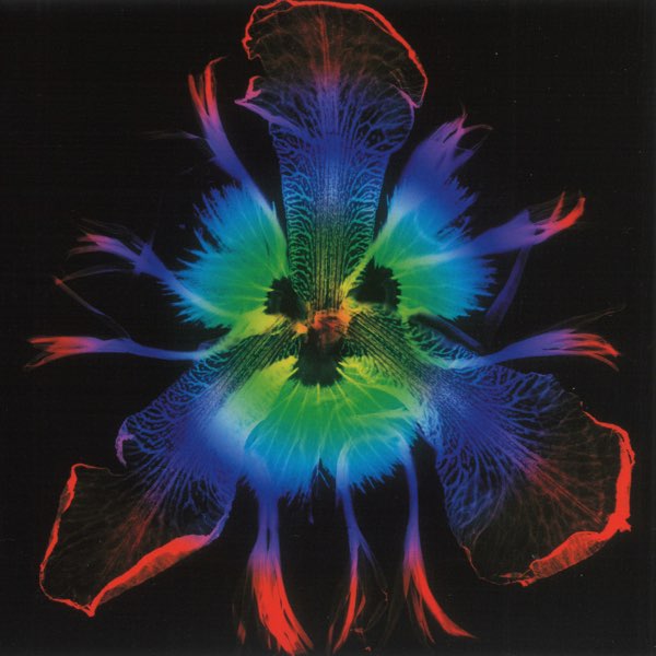 DICTATORS CIRCUS-奇術的旋律- - PIERROTのアルバム - Apple Music