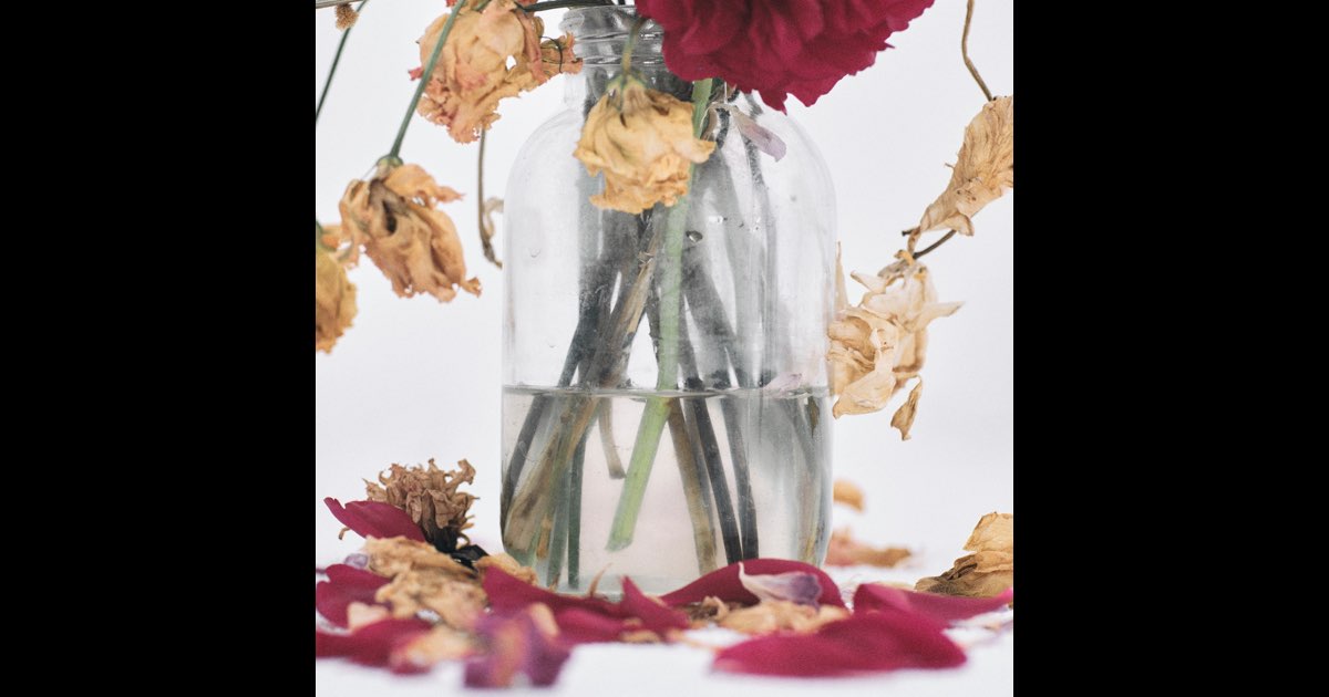 唾奇 武道館公演限定アナログレコード（LP） Camellia 唾奇 武道館公演