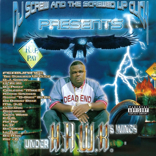 Under HAWK's Wing - Album by H.A.W.K. - Apple Music