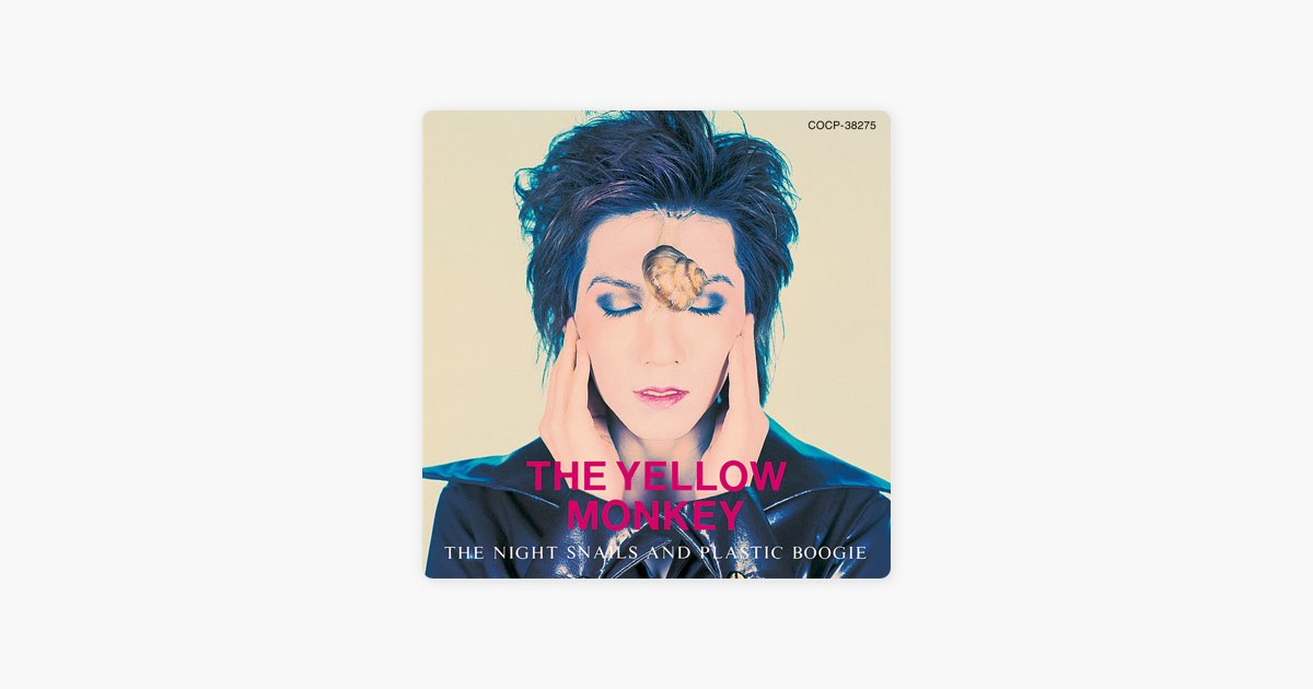 夜行性のかたつむり達とプラスチックのブギー ~THE NIGHT SNAILS AND