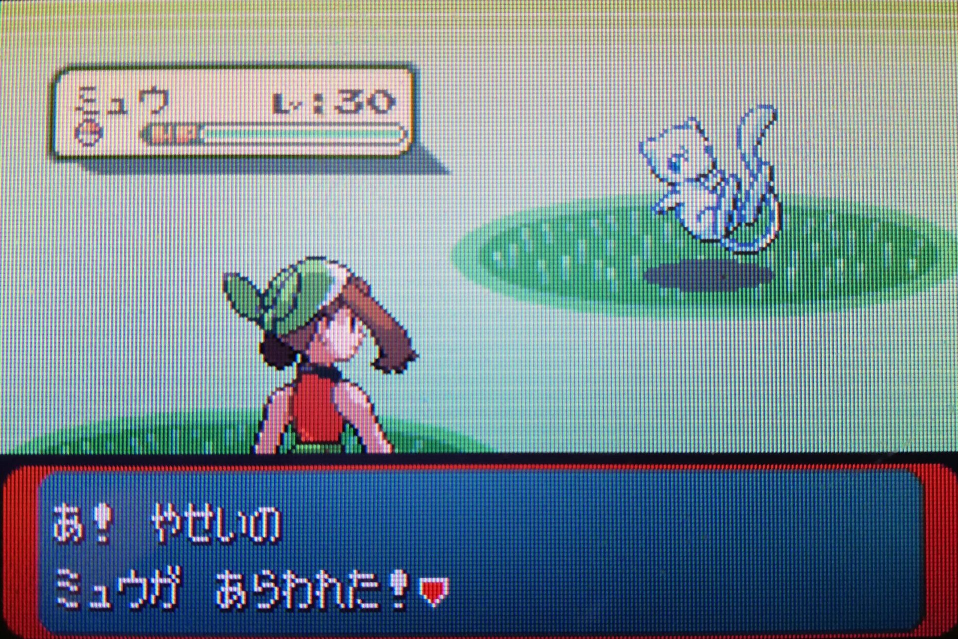 色違いミュウとリボン集め | 🍭いろどり🍬