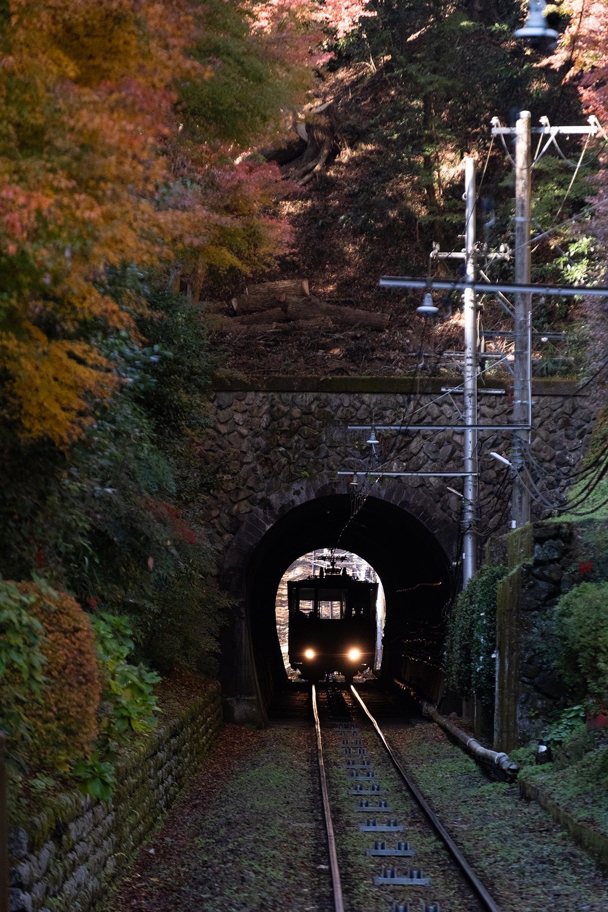 富士フイルムXシリーズとそぞろ歩き〜フィルムシミュレーション