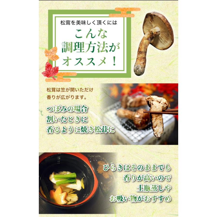 2026年10月分予約 国産 松茸 ひらき 約450g前後 4~8本程度 まつたけ