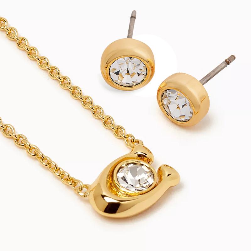 COACH（コーチ） 【BOX付属】COACH レディス ネックレス＆ピアス