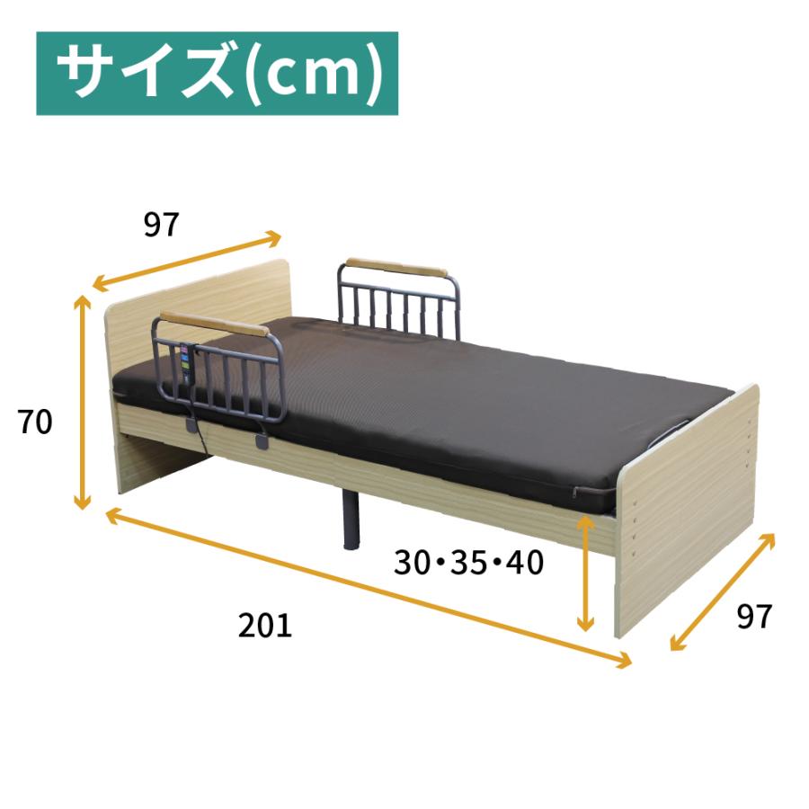 大商産業 特典付 電動ベッド 介護ベッド 介護用 2モーター シングル