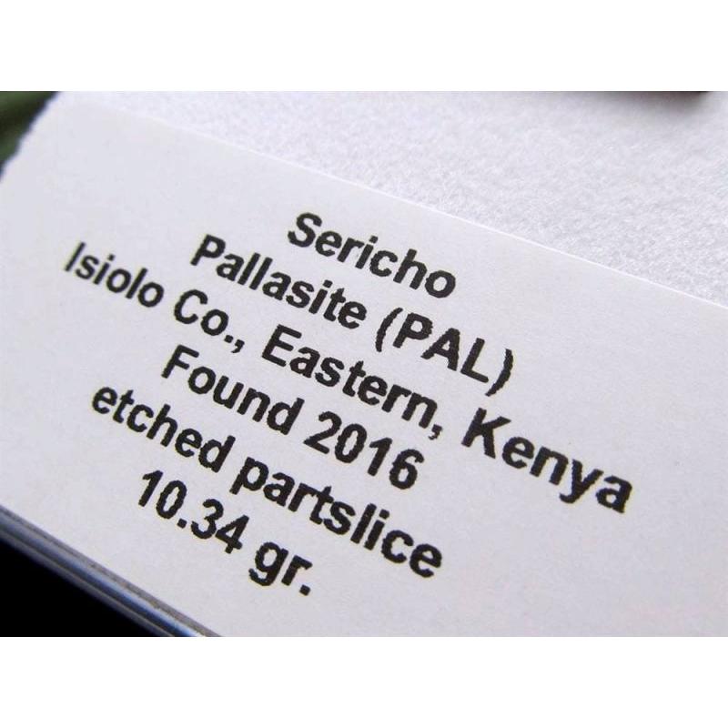 セリコ隕石 パラサイト隕石 原石 スライスプレート 最大幅約28.3mm 約