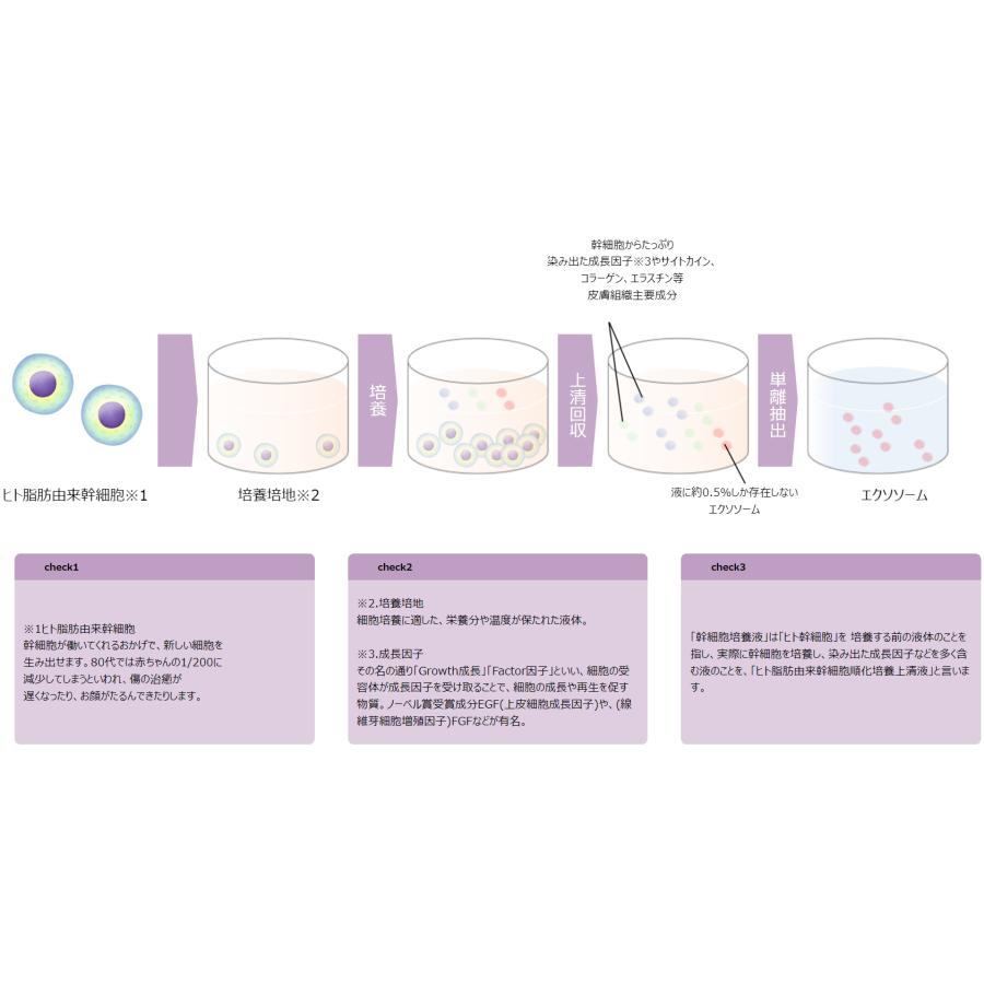 エスシー エクソソームW 5ml (1.5ヶ月分) SC-EXSOME−W ヒト幹細胞