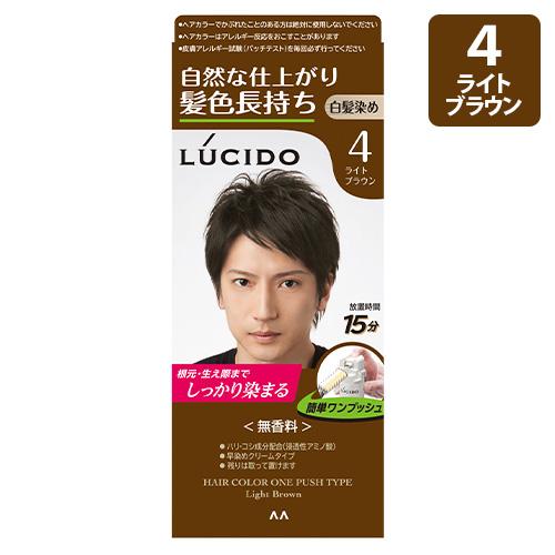 LUCIDO（ルシード） ワンプッシュケアカラー 4 ライトブラウン