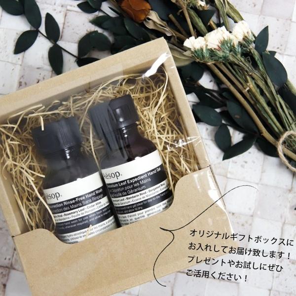 Aesop 抗菌ハンドソープ 2本セット イソップ ハンドクリーム ハンド