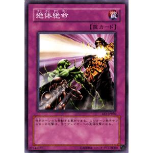 遊戯王オフィシャルカードゲーム デュエルモンスターズ 遊戯王カード