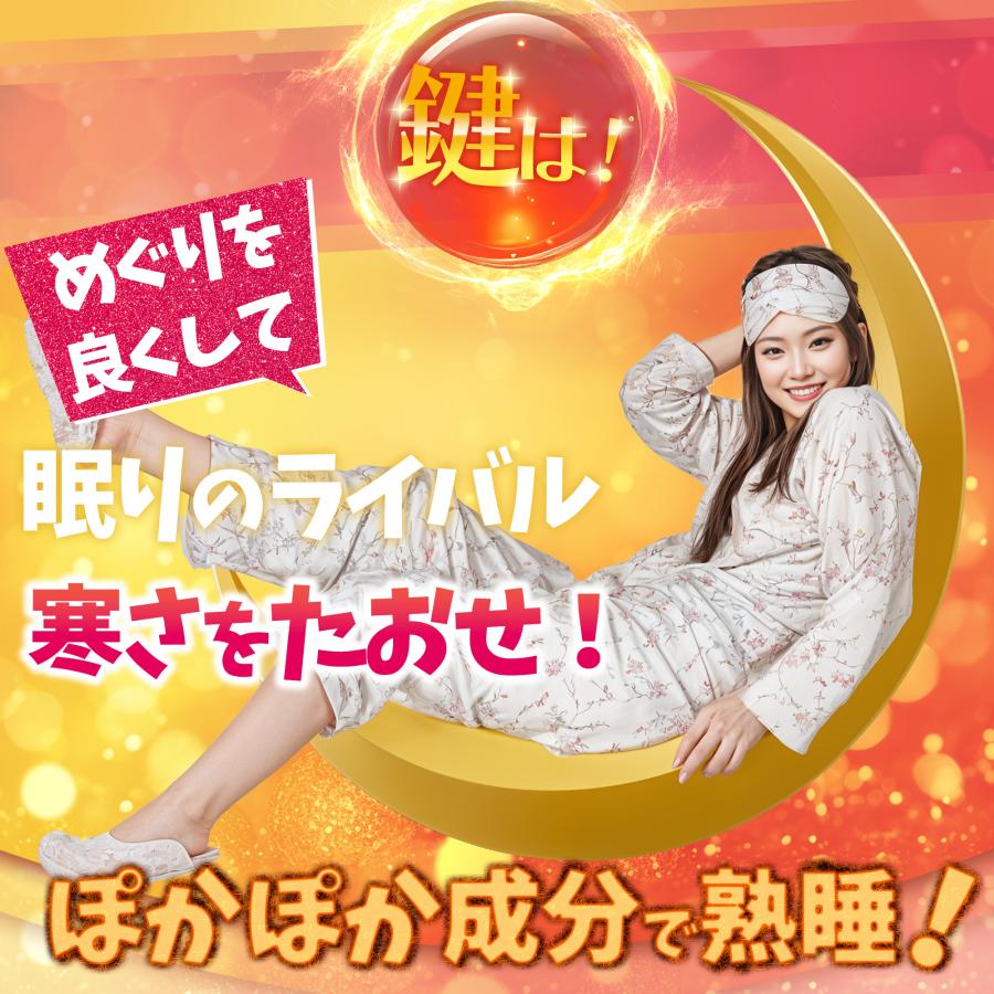 健康補助食品】ダイエットサプリ 寝ている間の 燃焼系 燃やさナイト 60