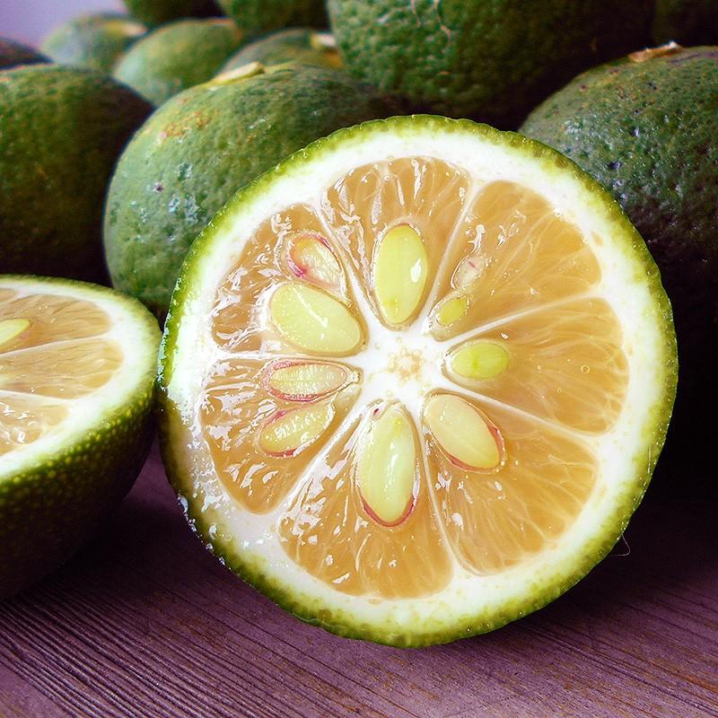 仏手柑 ぶしゅかん 5玉 高知産 土佐の酢みかん ご家庭用 香酸柑橘 餅柚