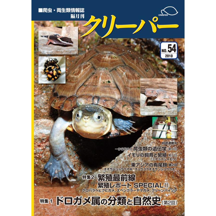 クリーパー54号 : クリーパー社 - 通販 - Yahoo!ショッピング