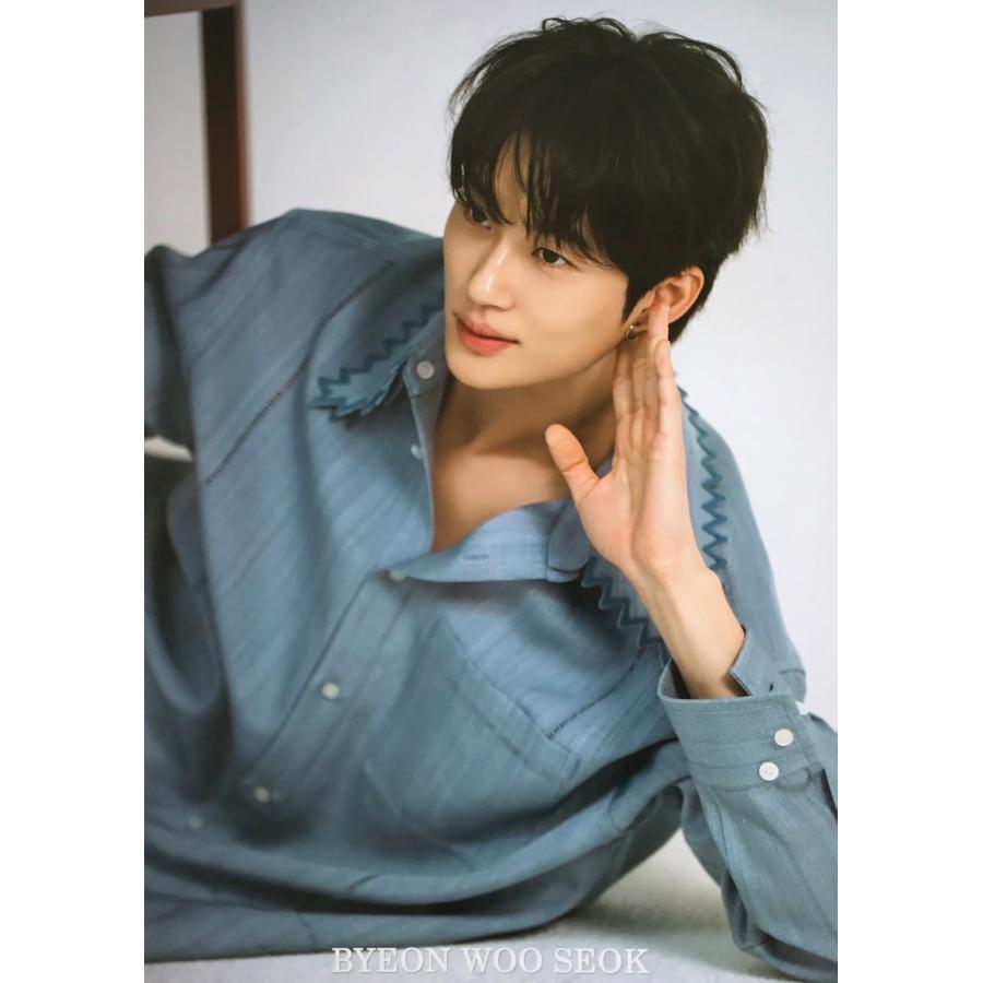 ランダム1枚おまけ付き】ビョンウソク ポスター 30×42cm 1枚 丸めて