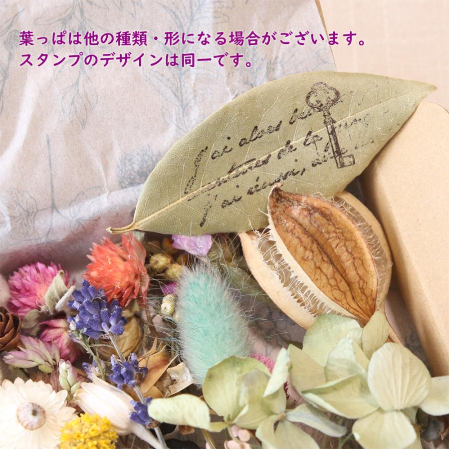 ドライフラワー 花材 セット 詰め合わせ （ナチュラルMIX