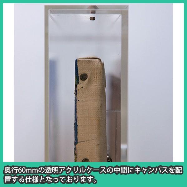 油彩キャンバス F6 額縁 壁掛け ケース ボックス 箱型 奥行 絵画 油絵
