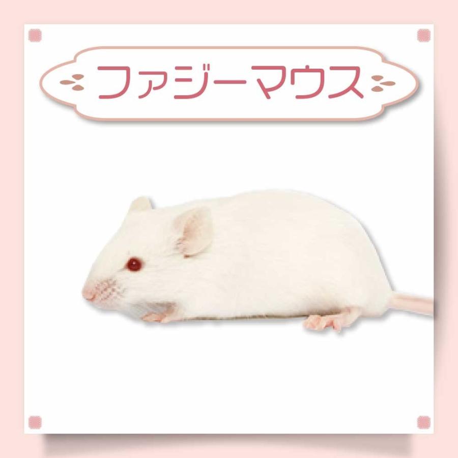 冷凍 マウス ファジーマウスL 餌 エサ フクロウ 100匹 猛禽類 爬虫類