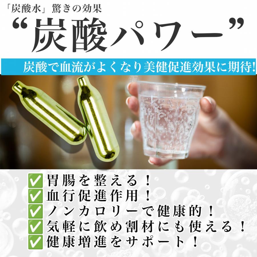 炭酸水用 ガスカートリッジ 30本セット 大容量 お酒 飲料 ツインソーダ