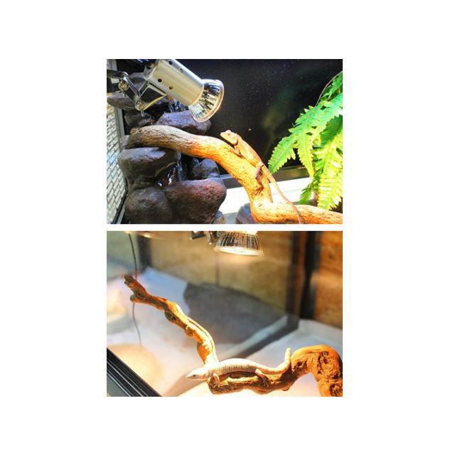 ゼンスイ マイクロ サン 28W : アクアクラフト - 通販 - Yahoo