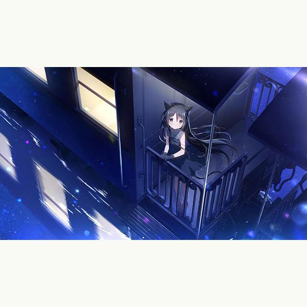 新品】Switch 星空鉄道とシロの旅 : アークオンライン Yahoo!店 - 通販