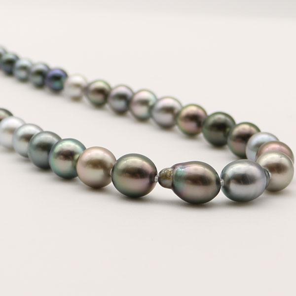 本真珠 南洋黒蝶真珠ネックレストップ 13mmダークグリーンPT884 本真珠