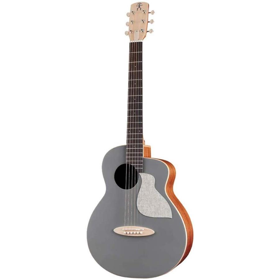 aNueNue Bird Guitar aNN-MC10-QSE アヌエヌエ グレー ミニエレアコ
