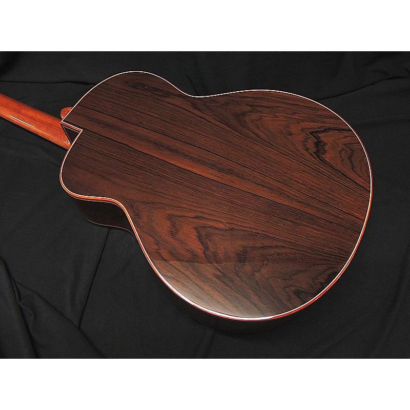 aNueNue aNN-LS800 LS Acoustic Future Series Design by Luthier