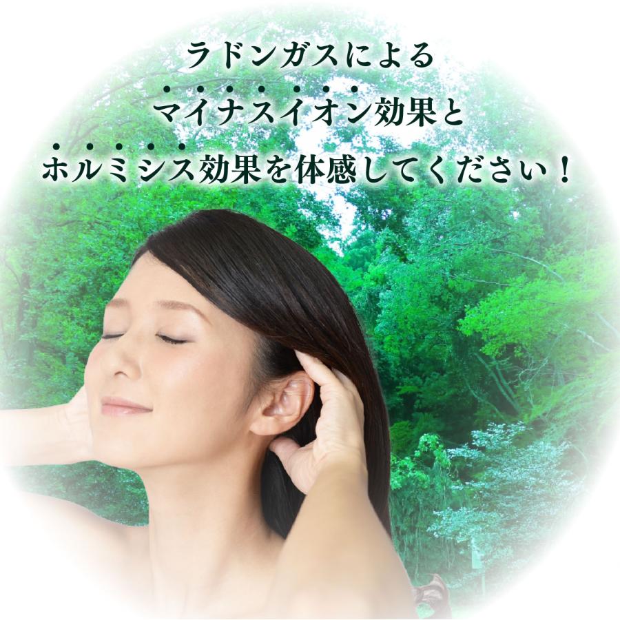 爆買 エナジーラドンブラシ ER-100C シャンプーブラシ 頭皮ケア 育毛